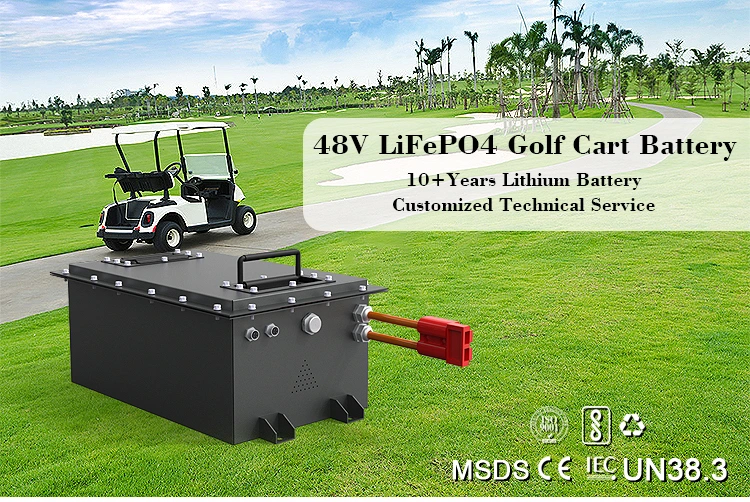 Il litio Ion Battery dell'OEM 48V 80ah 160ah di Cts per il carretto di golf, batteria di potere di LiFePO4 48V 36V ha personalizzato